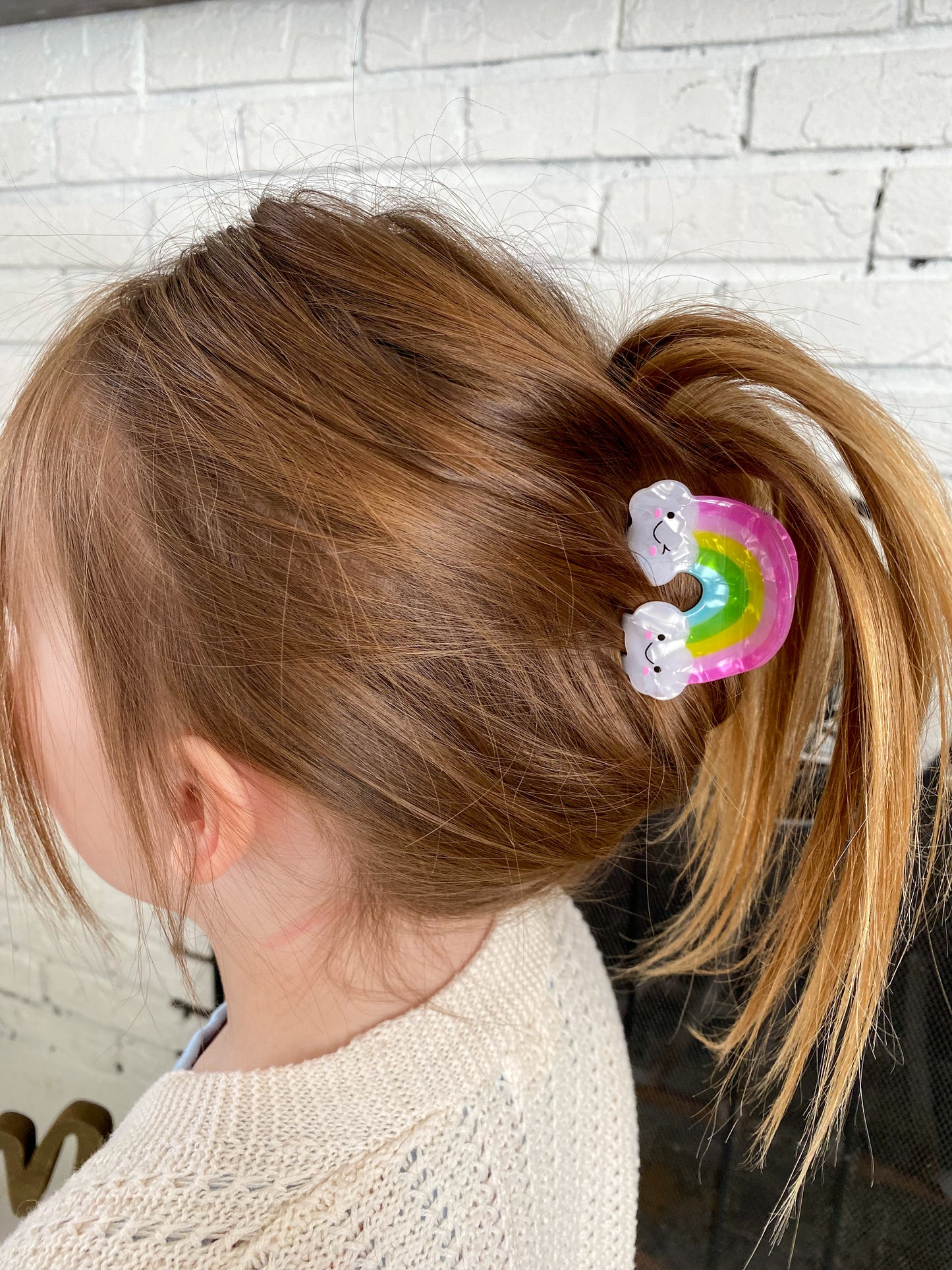 Rainbow Claw Clip