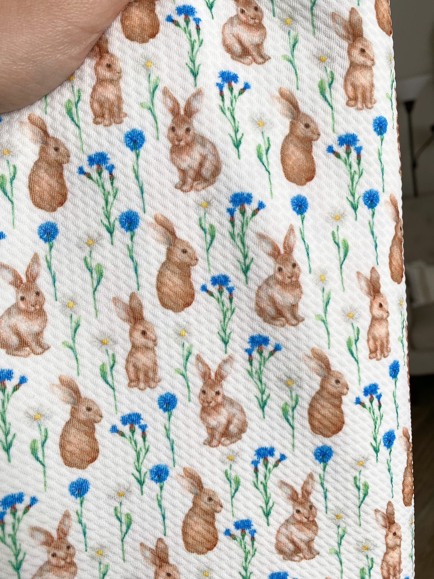 Peter Rabbit Bow